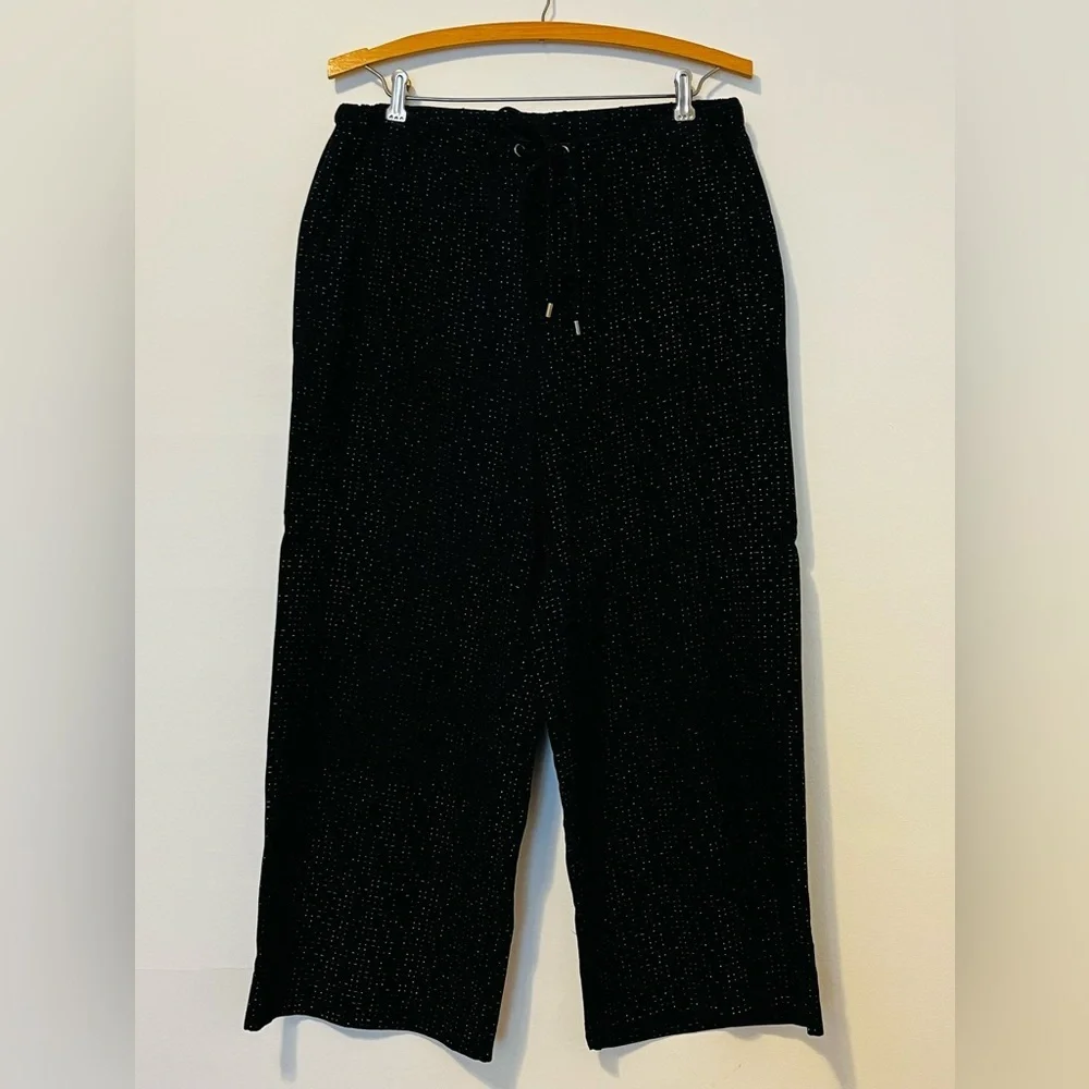 EILEEN FISHER The Future Is Female Wide Leg Crop Pants Tencel Viscose Morse Code